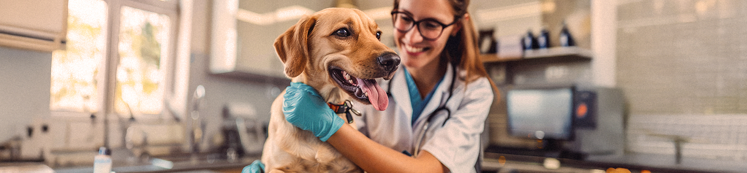 Health & Care - Mühldorfer Group