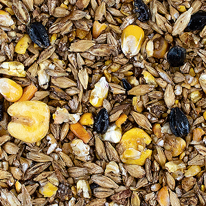 Muesli